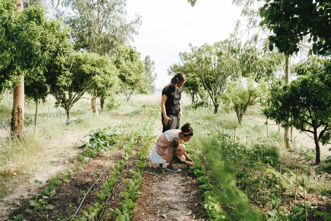 Humus Farm Villa Aguas de Moura Ngoại thất bức ảnh
