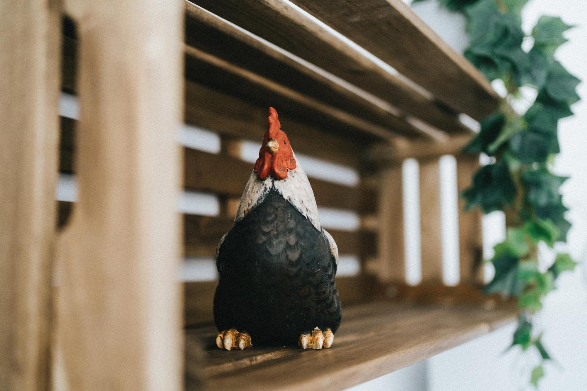 Humus Farm Villa Aguas de Moura Phòng bức ảnh