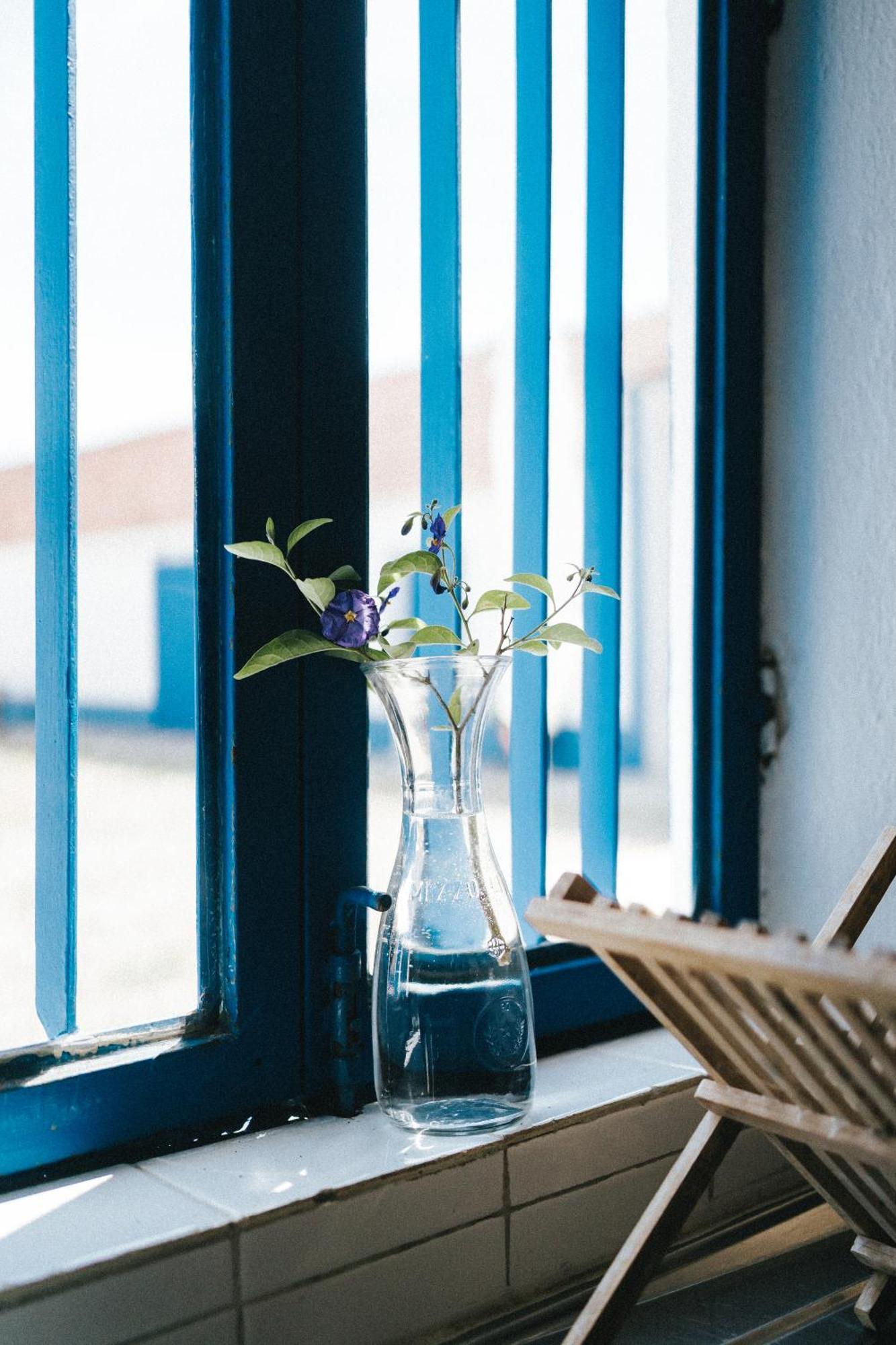 Humus Farm Villa Aguas de Moura Phòng bức ảnh
